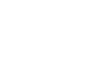 Baggage